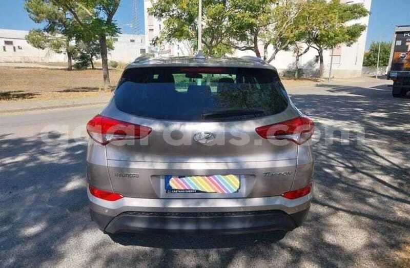 Big with watermark hyundai tucson kolda dabo 34549