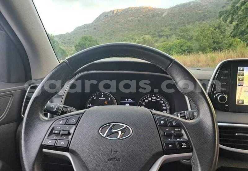 Big with watermark hyundai tucson dakar dakar 34552