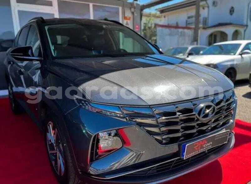 Big with watermark hyundai tucson kolda dabo 34553