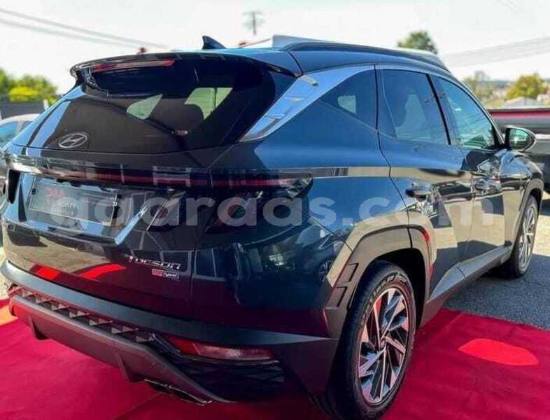 Big with watermark hyundai tucson kolda dabo 34553