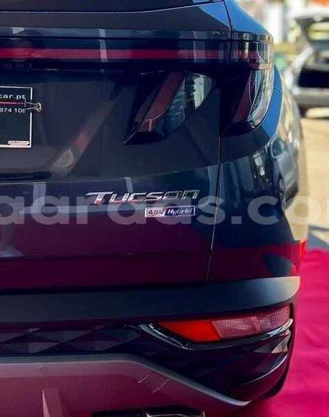 Big with watermark hyundai tucson kolda dabo 34553