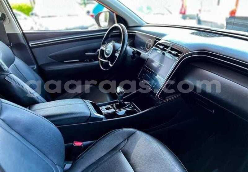 Big with watermark hyundai tucson kolda dabo 34553