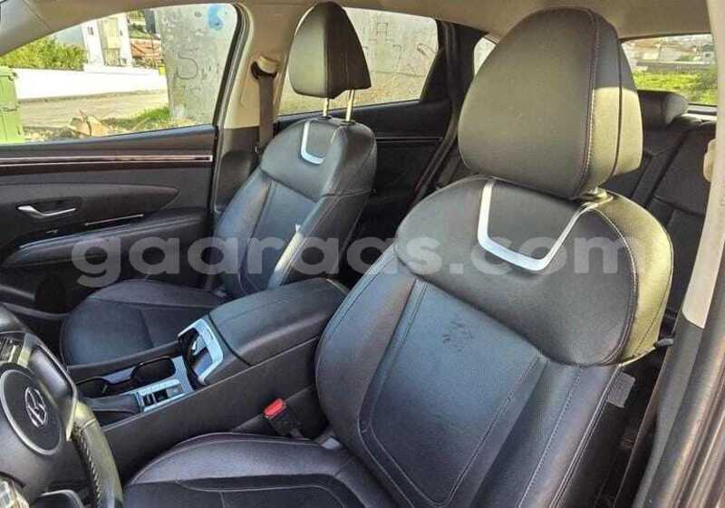 Big with watermark hyundai tucson kolda dabo 34553