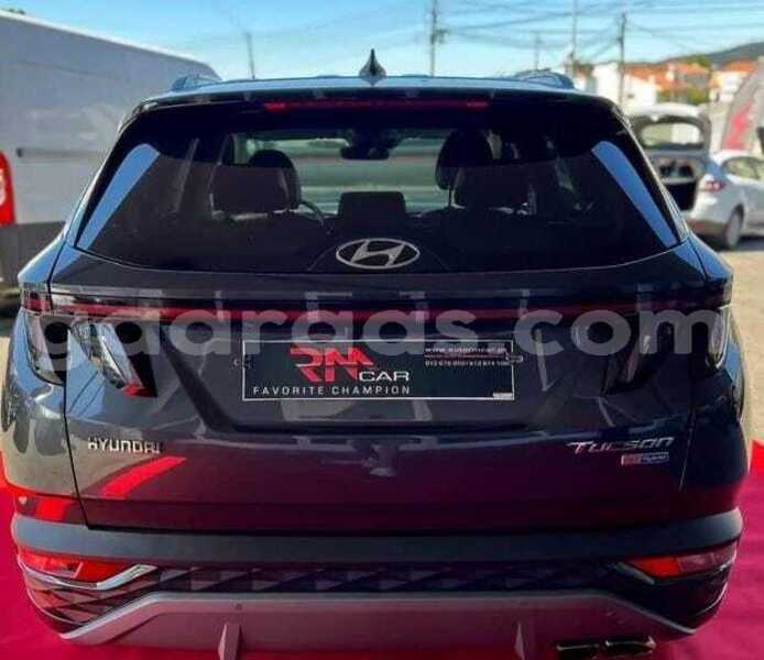 Big with watermark hyundai tucson kolda dabo 34553