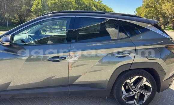 Acheter Occasion Voiture Hyundai Tucson Gris à Dabo, Kolda Acheter Occasion Voiture Hyundai Tucson Gris à Dabo, Kolda