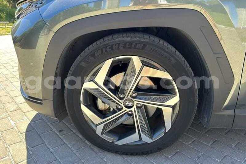 Big with watermark hyundai tucson kolda dabo 34555
