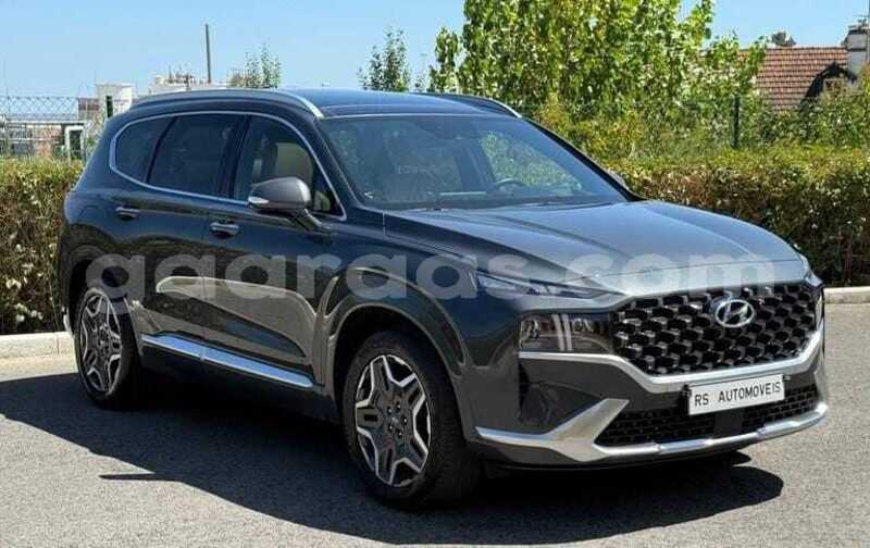 Big with watermark hyundai santa fe dakar dakar 34557