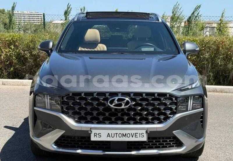 Big with watermark hyundai santa fe dakar dakar 34557