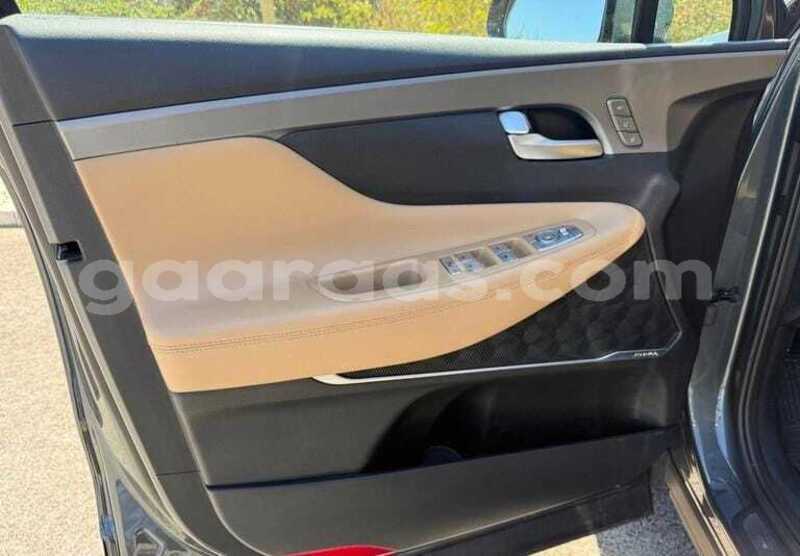 Big with watermark hyundai santa fe dakar dakar 34557