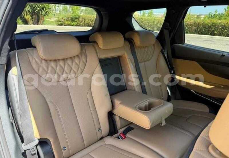 Big with watermark hyundai santa fe dakar dakar 34557