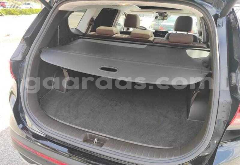 Big with watermark hyundai santa fe dakar dakar 34558
