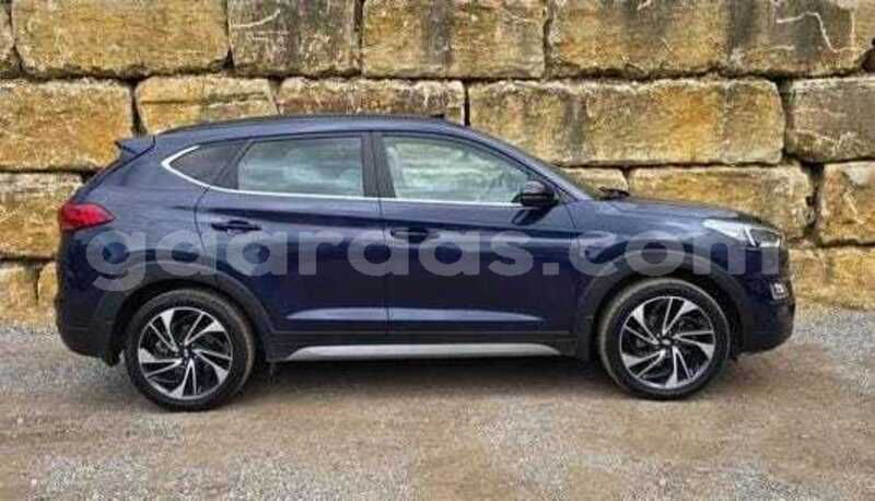 Big with watermark hyundai tucson dakar dakar 34582