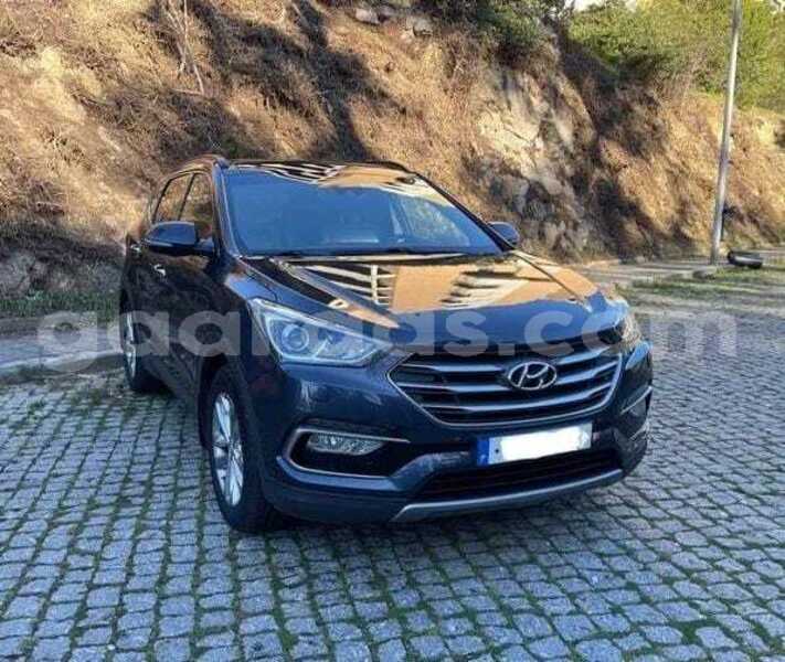 Big with watermark hyundai santa fe dakar dakar 34625