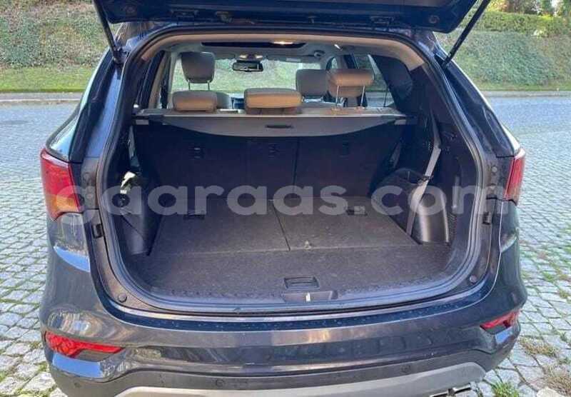 Big with watermark hyundai santa fe dakar dakar 34625