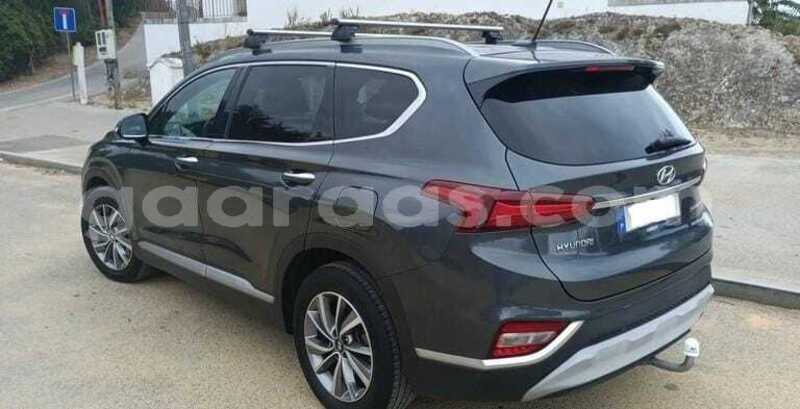 Big with watermark hyundai santa fe dakar dakar 34626