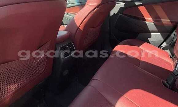 Acheter Occasion Voiture Hyundai Tucson Gris à Dabo, Kolda Acheter Occasion Voiture Hyundai Tucson Gris à Dabo, Kolda
