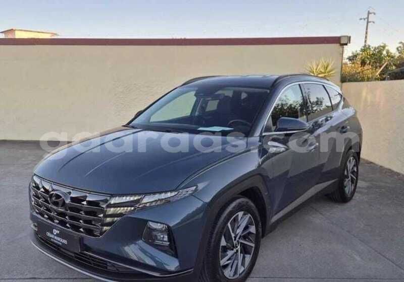 Big with watermark hyundai tucson dakar dakar 34632
