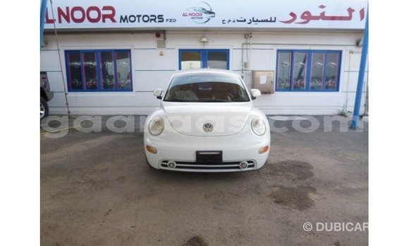 Acheter Import Voiture Volkswagen Beetle Blanc à Import - Dubai, Dakar Acheter Import Voiture Volkswagen Beetle Blanc à Import - Dubai, Dakar