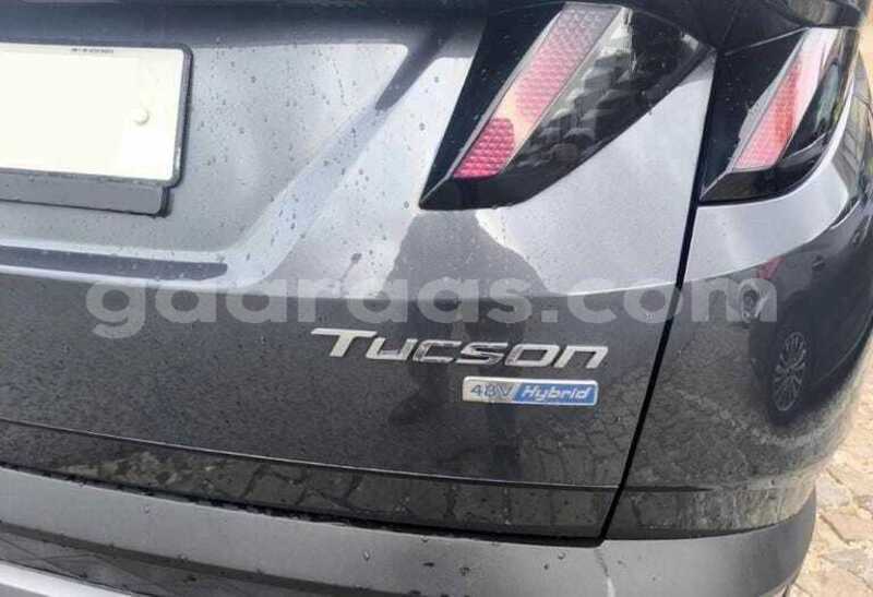 Big with watermark hyundai tucson dakar dakar 34687