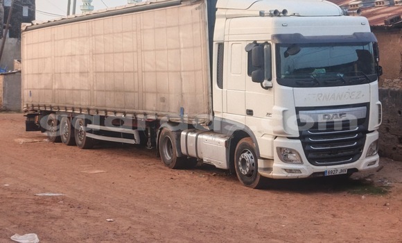 Acheter Occasion Utilitaire DAF CF Blanc à Kolda, Kolda
