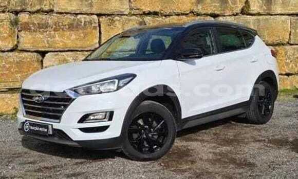 Acheter Occasion Voiture Hyundai Tucson Blanc à Dabo, Kolda Acheter Occasion Voiture Hyundai Tucson Blanc à Dabo, Kolda