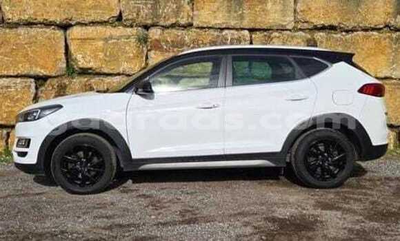 Acheter Occasion Voiture Hyundai Tucson Blanc à Dabo, Kolda Acheter Occasion Voiture Hyundai Tucson Blanc à Dabo, Kolda