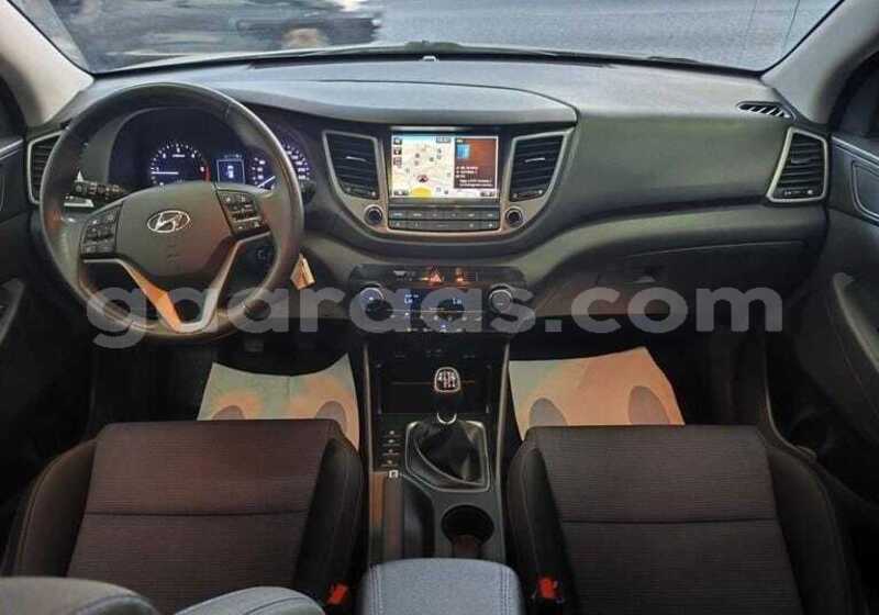 Big with watermark hyundai tucson dakar dakar 34693