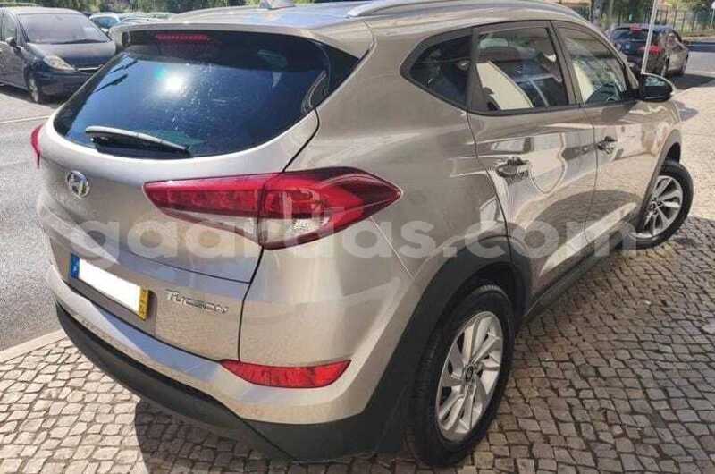 Big with watermark hyundai tucson dakar dakar 34693