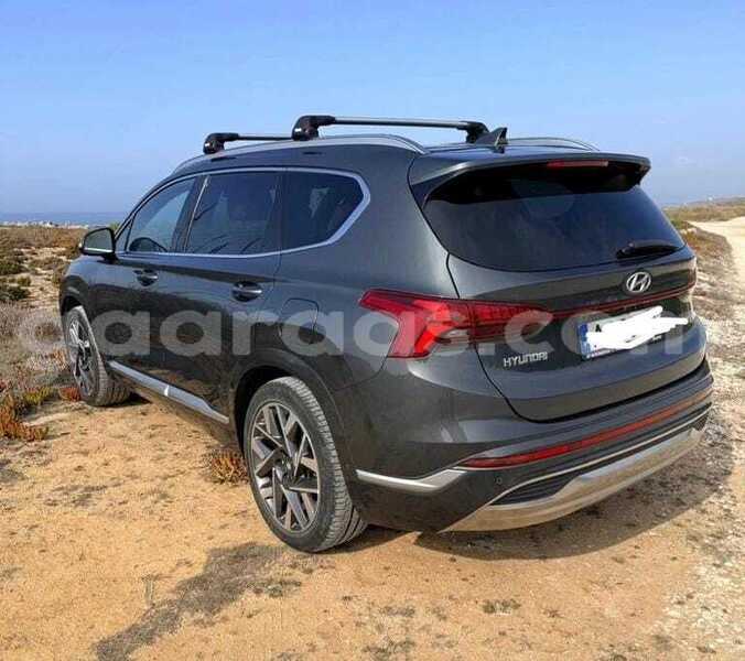 Big with watermark hyundai santa fe dakar dakar 34716