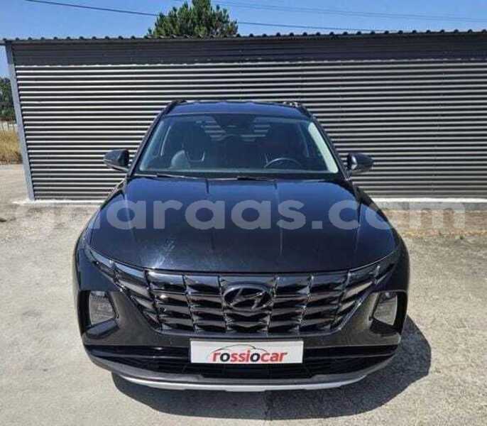 Big with watermark hyundai tucson kolda dabo 34733