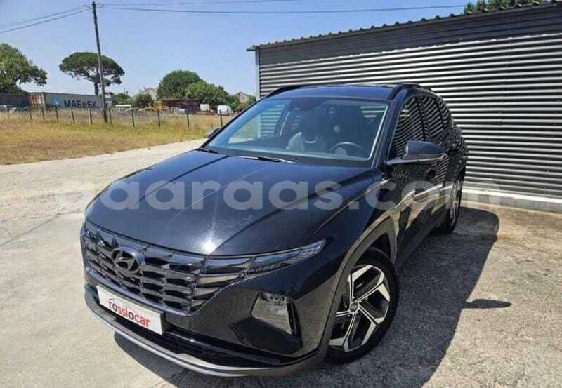 Big with watermark hyundai tucson kolda dabo 34733