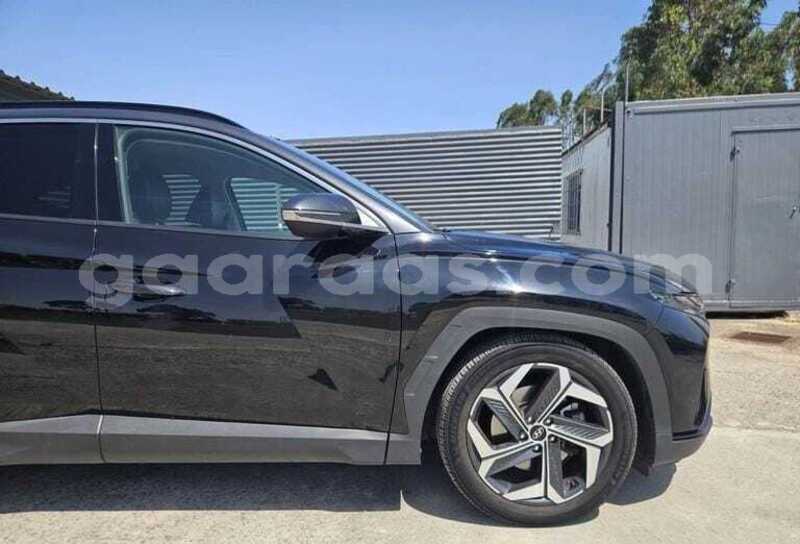 Big with watermark hyundai tucson kolda dabo 34733