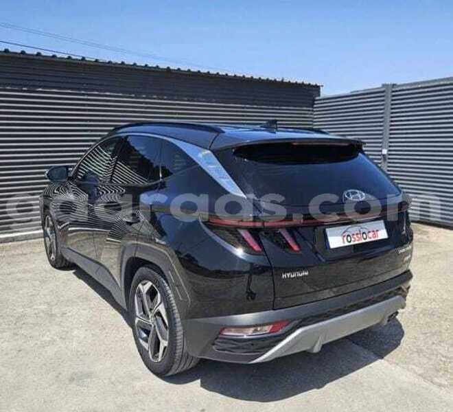 Big with watermark hyundai tucson kolda dabo 34733