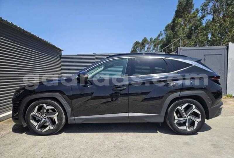 Big with watermark hyundai tucson kolda dabo 34733