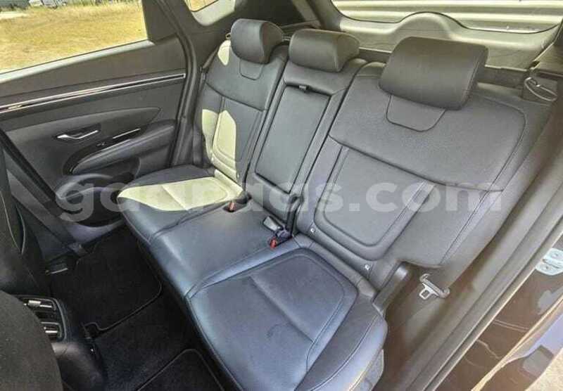 Big with watermark hyundai tucson kolda dabo 34733