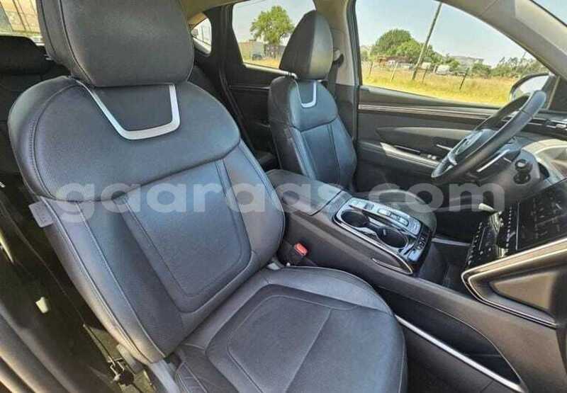 Big with watermark hyundai tucson kolda dabo 34733
