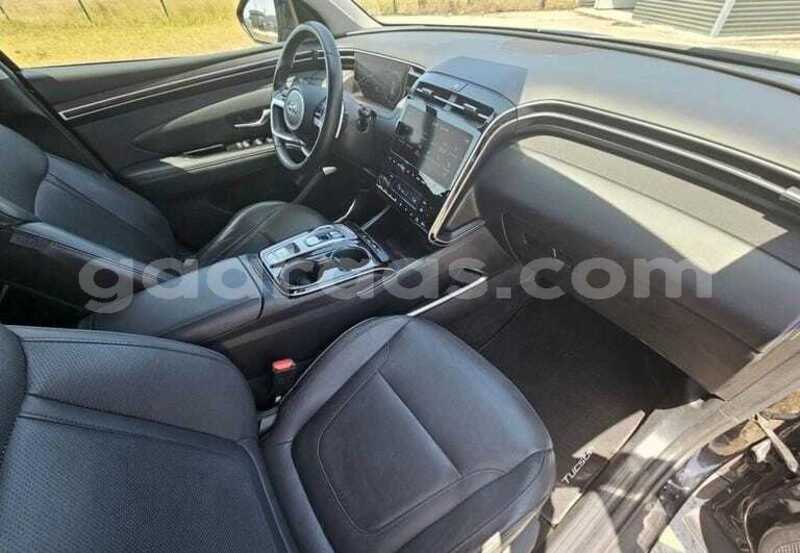 Big with watermark hyundai tucson kolda dabo 34733