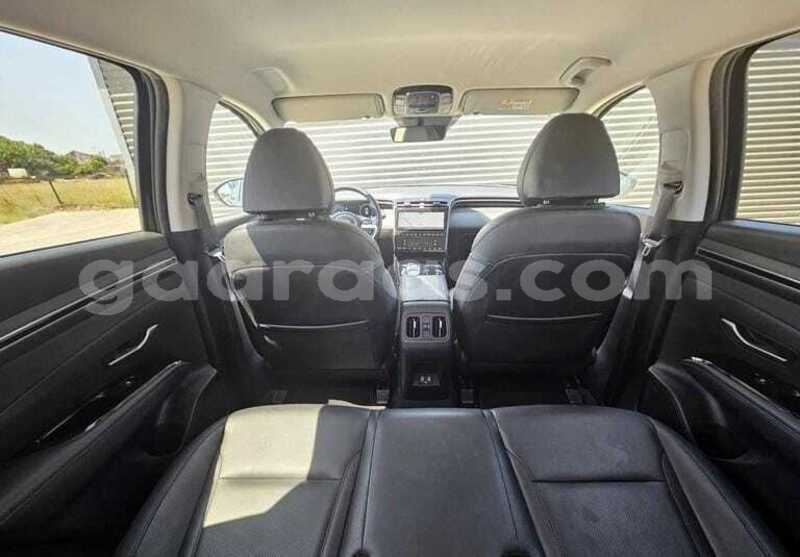 Big with watermark hyundai tucson kolda dabo 34733