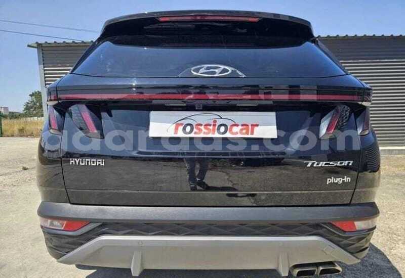 Big with watermark hyundai tucson kolda dabo 34733