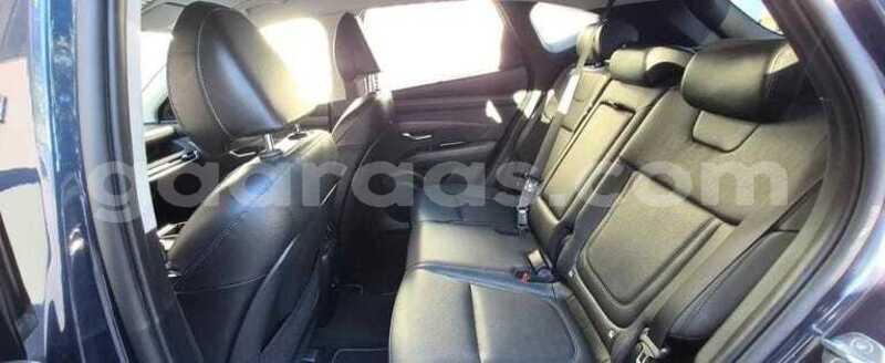 Big with watermark hyundai tucson dakar dakar 34734