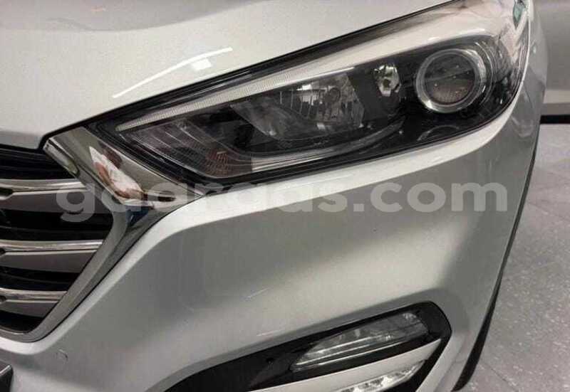 Big with watermark hyundai tucson dakar dakar 34749