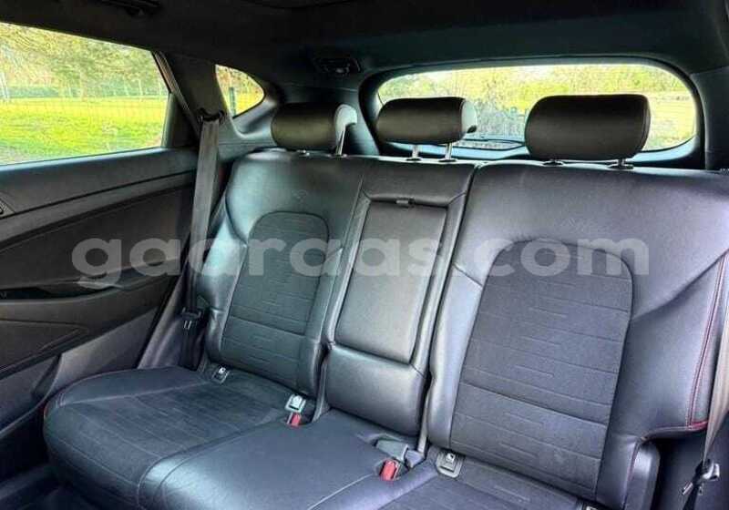 Big with watermark hyundai tucson kolda dabo 34758