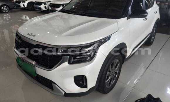Acheter Occasion Voiture Kia Seltos Blanc à Dagana, Saint-Louis