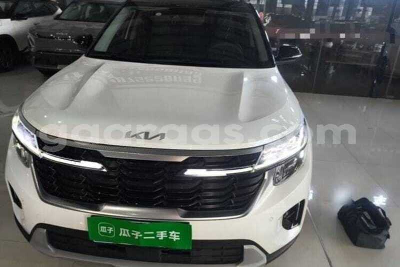 Big with watermark kia seltos saint louis dagana 34780