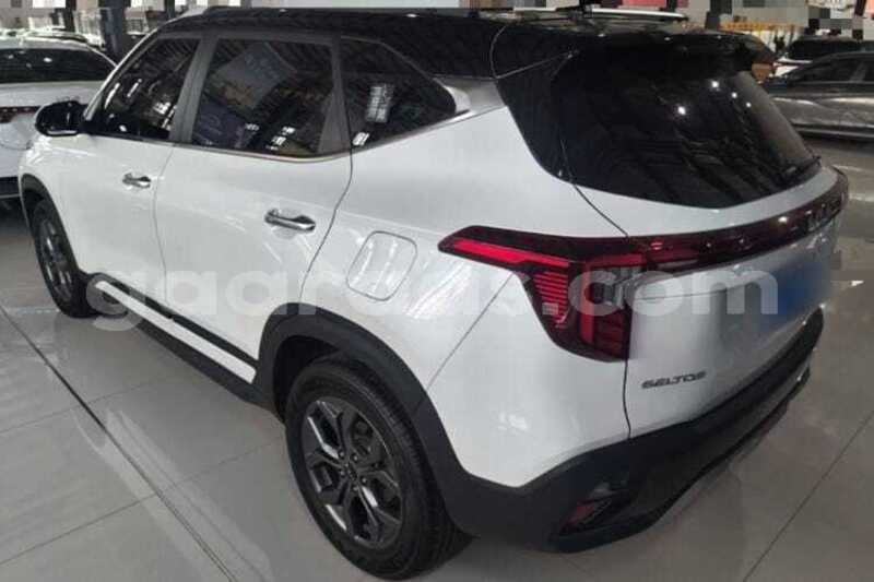 Big with watermark kia seltos saint louis dagana 34780