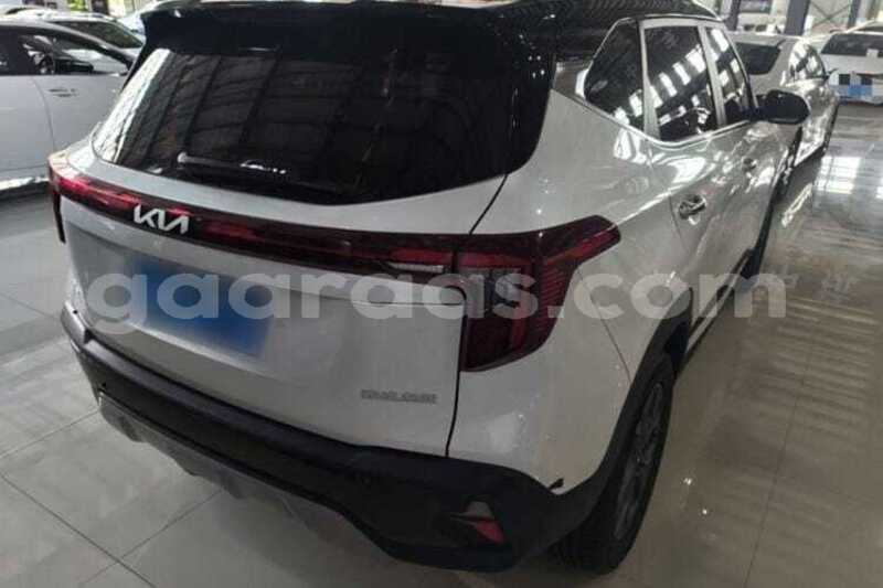 Big with watermark kia seltos saint louis dagana 34780