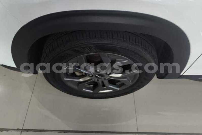 Big with watermark kia seltos saint louis dagana 34780