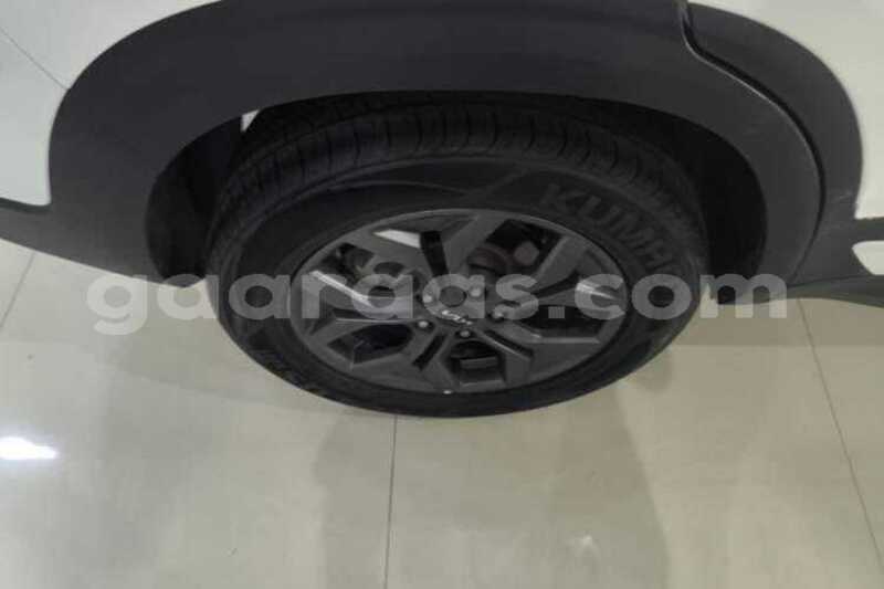 Big with watermark kia seltos saint louis dagana 34780
