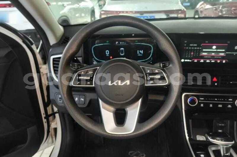 Big with watermark kia seltos saint louis dagana 34780
