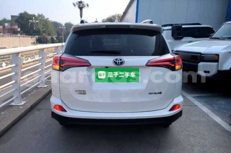 Big with watermark toyota rav4 kolda dabo 34795